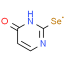 2-Selenouracil
