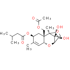 HT-2 Toxin