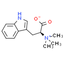 Hypaphorine