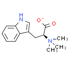 Hypaphorine