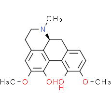 Corytuberine