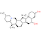 Hupehenine