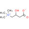 DL-Carnitine