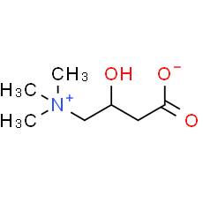 DL-Carnitine