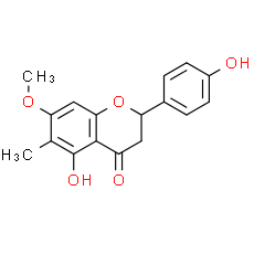 7-O-Methylporiol
