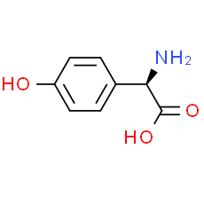 D-4-Hydroxyphenylglycine