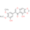 Dichotomitin