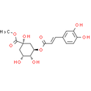 3-O-Caffeoylquinic acid methyl ester