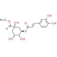 3-O-Caffeoylquinic acid methyl ester
