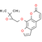 Oxyimperatorin