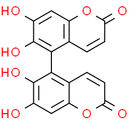 Euphorbetin