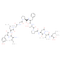 C-Reactive Protein (CRP) (174-185)