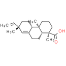 Pimaric acid