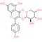 Kaempferol 3-O-arabinoside