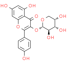 Kaempferol 3-O-arabinoside