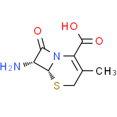 7-Aminodeacetoxycephalosporanic acid