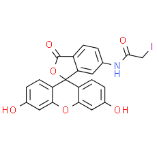 6-Iodoacetamidofluorescein