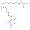 Iodoacetyl-LC-biotin
