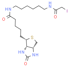 Iodoacetyl-LC-biotin