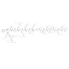 Calmodulin-Dependent Protein Kinase II (290-309)