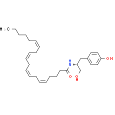 OMDM-4