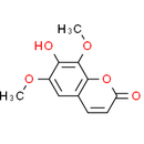 Isofraxidin