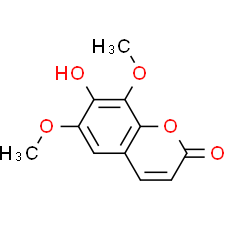 Isofraxidin
