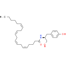 OMDM-3