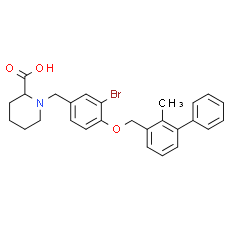 BMS-8