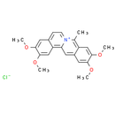 Coralyne chloride