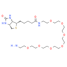 Biotin-PEG7-amine