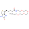 Biotin-PEG4-allyl