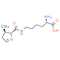 L-Pyrrolysine