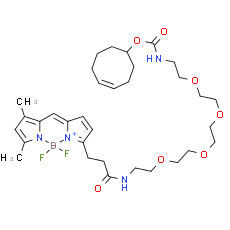 BDP FL-PEG4-TCO