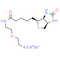 Biotin-PEG1-azide