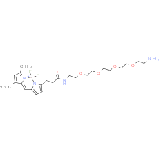 BDP FL-PEG4-amine