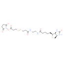 Biotin-bis-amido-SS-NHS