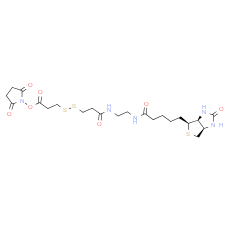 Biotin-bis-amido-SS-NHS