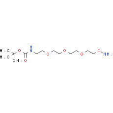 Aminooxy-PEG3-C2-NH-Boc