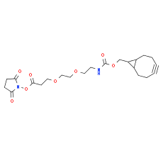 endo-BCN-PEG2-C2-NHS ester