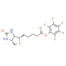 Biotin-PFP ester