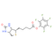 Biotin-PFP ester