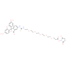 Fluorescein-PEG5-NHS ester