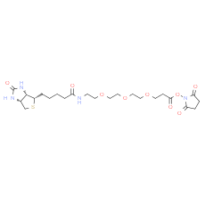 Biotin-PEG3-NHS ester