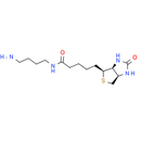 Biotin-C4-amide-C5-NH2