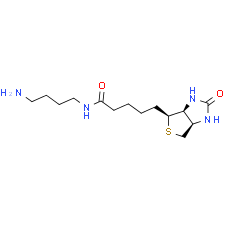 Biotin-C4-amide-C5-NH2