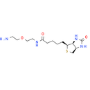 Biotin-PEG1-NH2