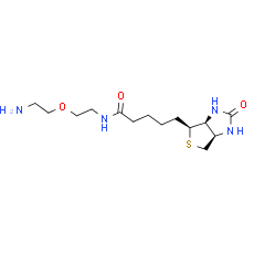 Biotin-PEG1-NH2