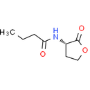 N-Butanoyl-L-homoserine lactone