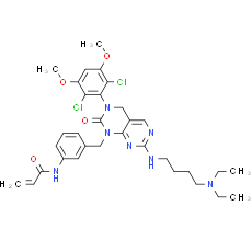 FIIN-1